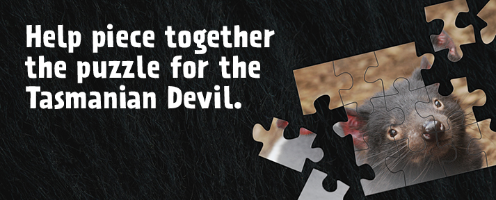 banner donation page solve devil puzzle