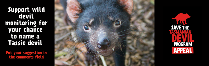 Giving Tuesday Devil donation