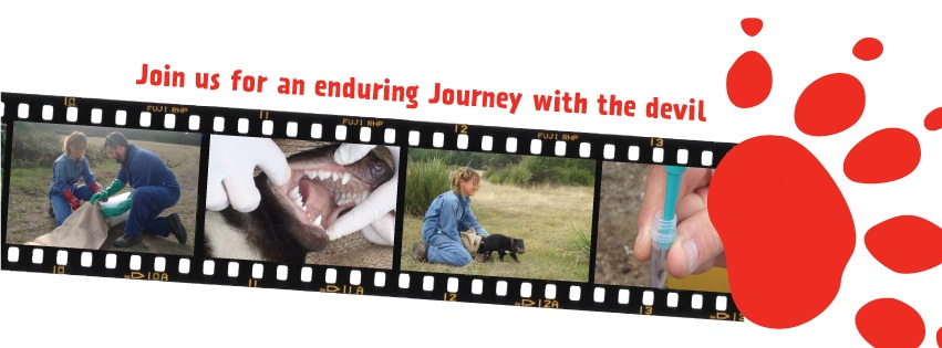 Film strip and red paw