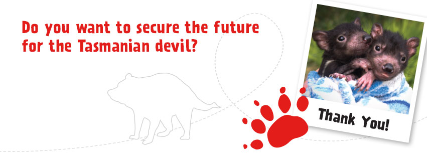 Thank you for securing the future of the Tasmanian devil