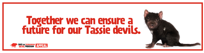 Together we can ensure a future for our Tassie devils